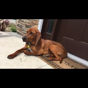 Meet your Posher, Lynda